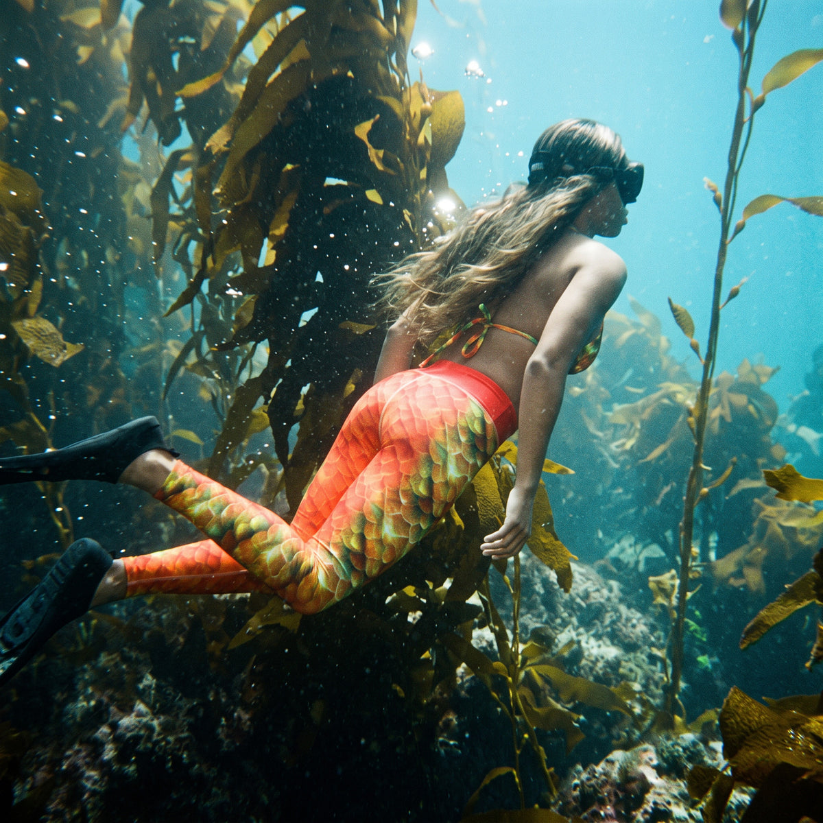 Person swimming through a kelp forest underwater