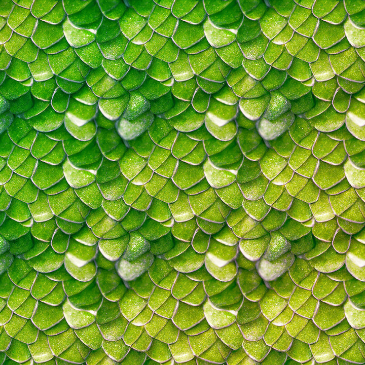 Ondine Pattern Swatch